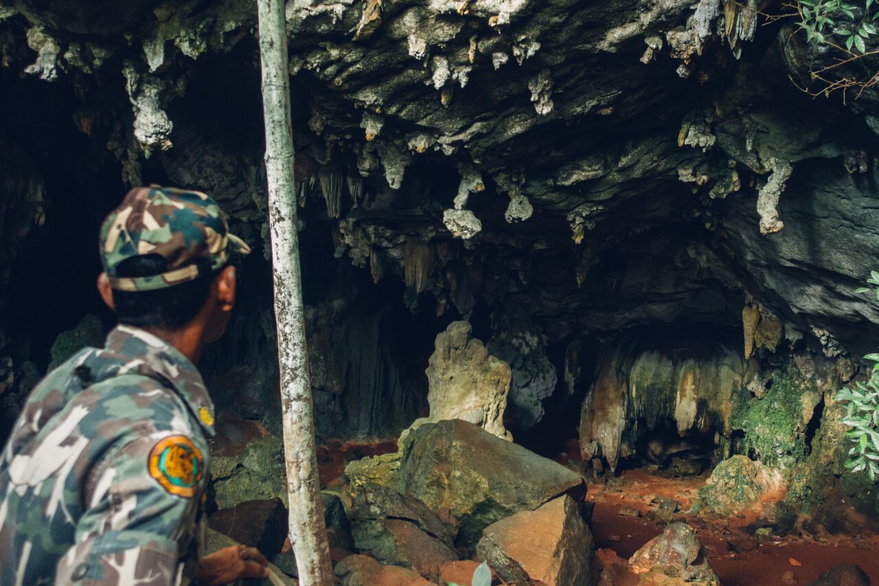 Một nhân viên kiểm lâm dẫn đến một hang động ở Khao Sok