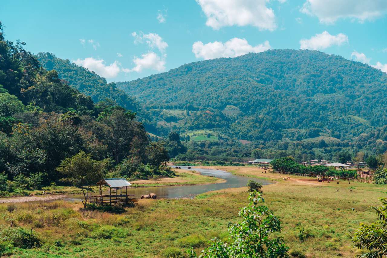Tiền đề của Công viên Voi Tự nhiên ở Chiang Mai