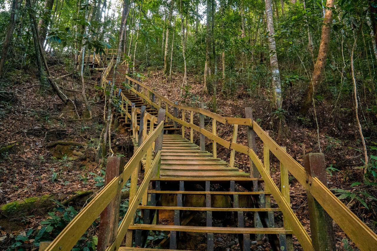 Cầu thang gỗ dọc theo Dragon Crest Trail ở Krabi