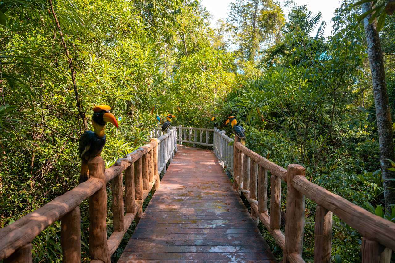 Con đường đi bộ bên trong Tiểu Amazon ở Phang Nga