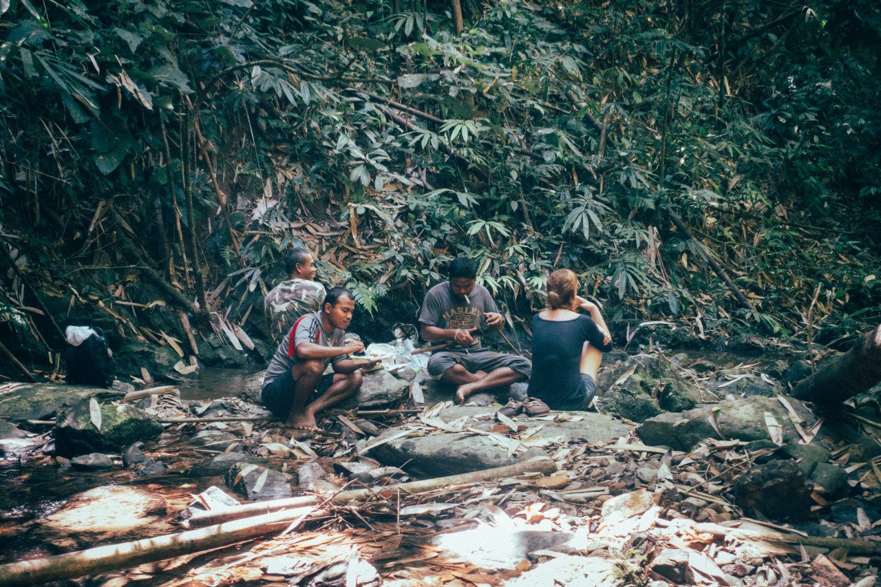 Một nhóm người ăn trưa trong rừng ở Khao Sok