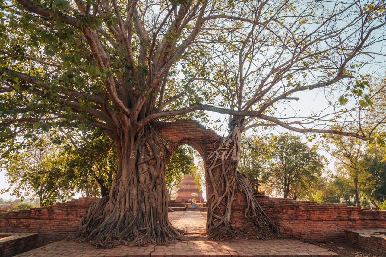 Cổng thời gian tại Wat Phra Ngam ở Ayutthaya, Thái Lan