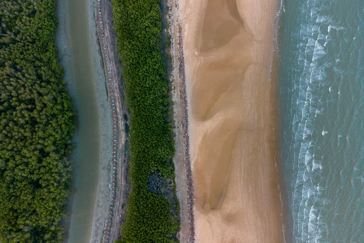 Một khu rừng ngập mặn nhìn từ trên cao bên bãi biển ở Phetchaburi, Thái Lan.