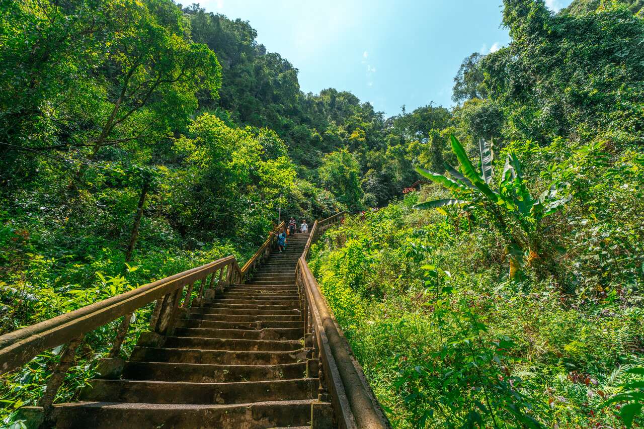 Cầu thang lên hang Tham Change ở Vang Vieng