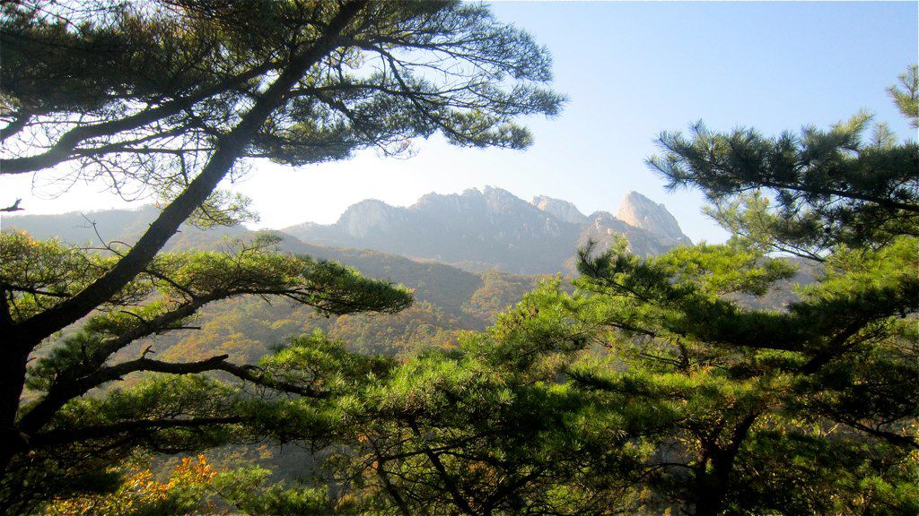 Nếu bạn có một ngày rảnh rỗi, tôi khuyên bạn nên đi leo núi ở Công viên Quốc gia Bukhansan, ngay phía bắc Seoul
